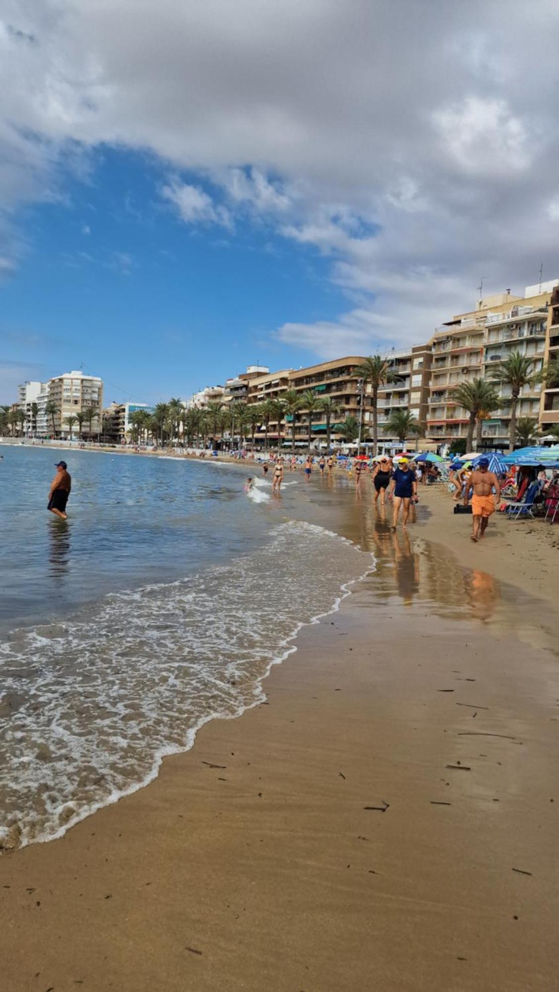 Apartment Elen, Direkt Am Torrevieja